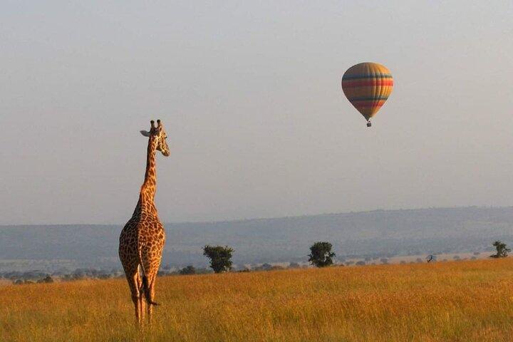 3Day, 2Night Safari in Masai Mara Kenya