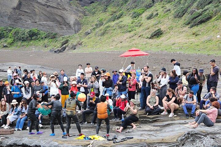 All-Inclusive Jeju East Tour with Lunch and Tangerine Picking