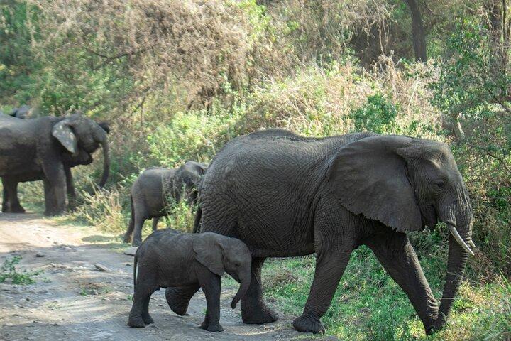 4 Day Adventures Tanzania