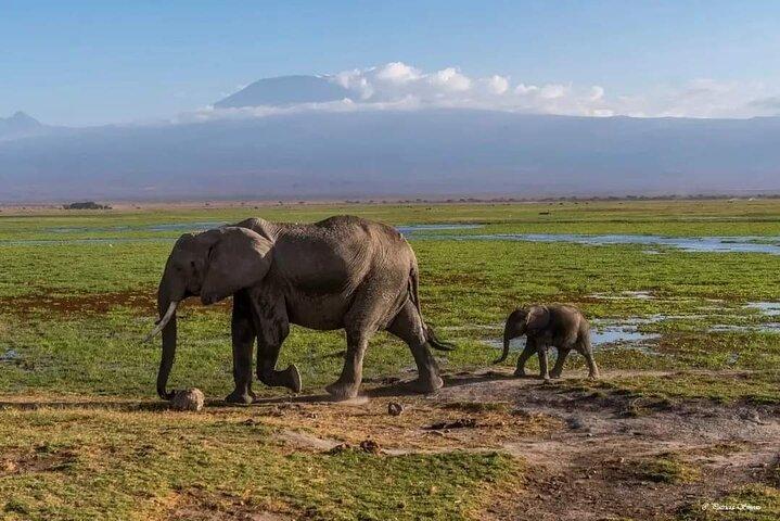 9 Days & 8 Nights Beach Holiday and Safari tour from Kenya