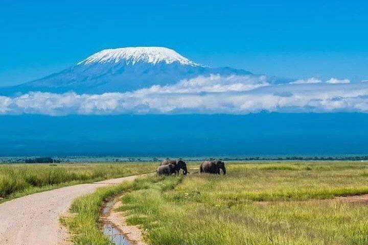 9 Days & 8 Nights Beach Holiday and Safari tour from Kenya