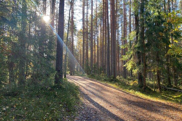 From Riga: Kemeri Bog Boardwalk and Jurmala Seaside