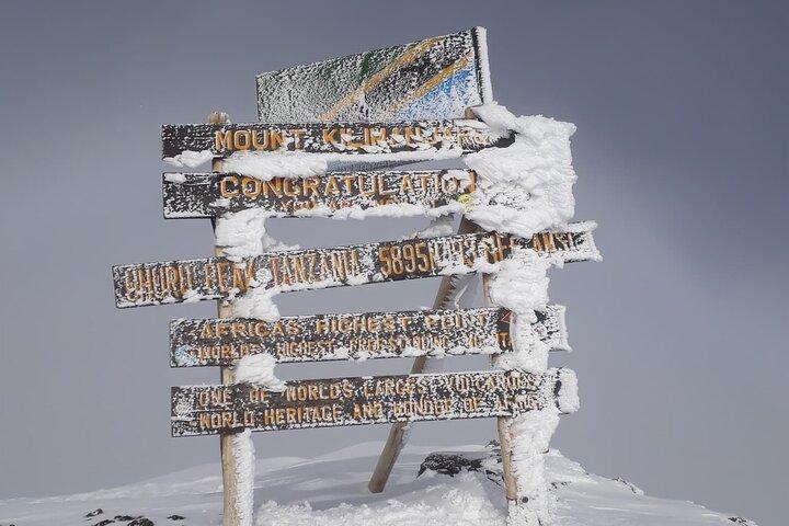 7 Days Trekking from Machame Route to Kilimanjaro