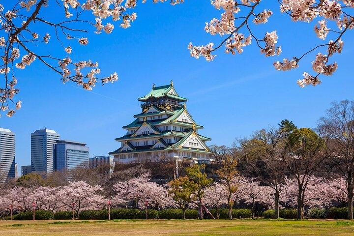 Osaka International Airport (ITM) Private Transfer to Osaka/Kyoto