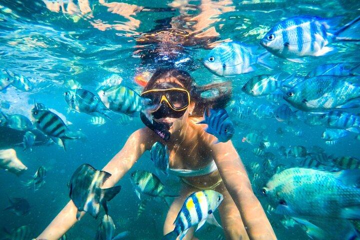 Ko Samet 5 or 6 Islands Snorkeling Tour with Lunch option