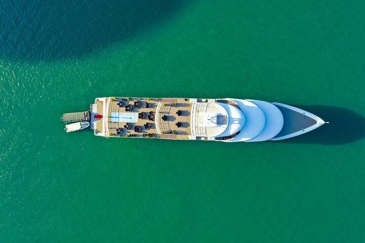 Top Halong Bay Luxury Tour: Sea Octopus Day Cruise from Hanoi