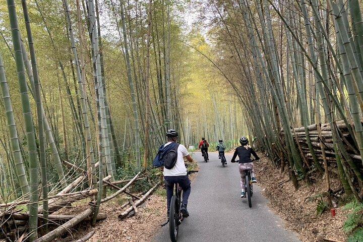 Kyoto Gion & Fushimi E-Bike Tour with Hotel Transfer