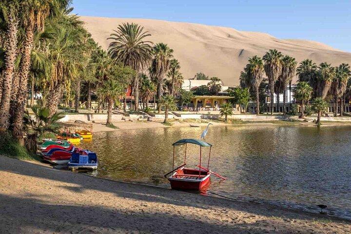 Full Day Tour in Ica Paracas and Huacachina from Lima