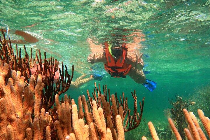 ATV Adventure Combo with Snorkeling, Ziplines, Cenote, and Lunch