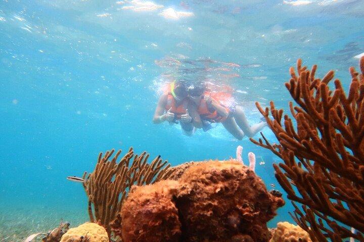 ATV Adventure Combo with Snorkeling, Ziplines, Cenote, and Lunch