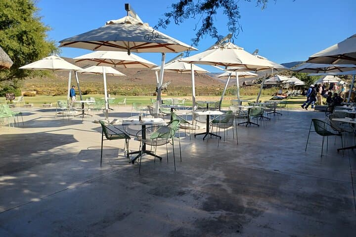 1 Night Big Five Safari Tour All Inclusive