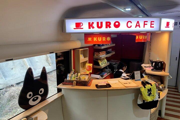 Kyushu Day Tour:Aso Boy Scenic Train, Aso Volcano,Kumamoto Castle