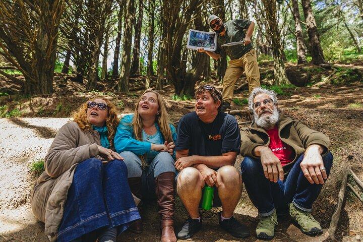 Wellington's Original HD LOTR Experience - includes Weta Tour