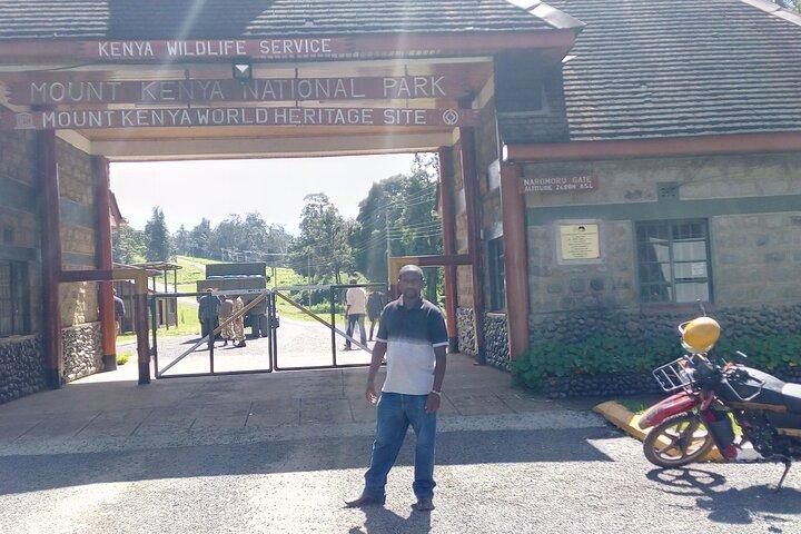 Mount Kenya National Park Private Tour Experience