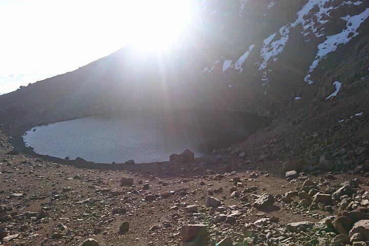 Mount Kenya National Park Private Tour Experience
