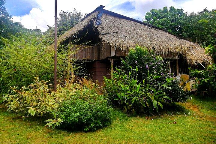 Beautiful Panama Wounaan Village Tour