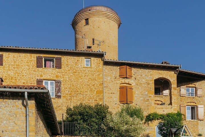 Golden stones Beaujolais Wine Tour with Tastings from Lyon