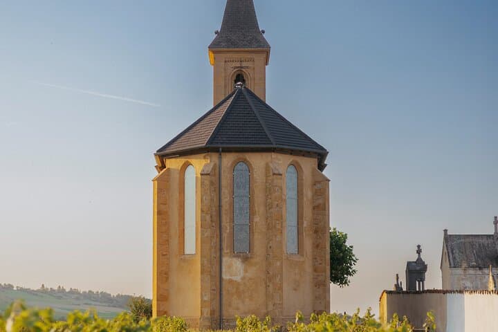 Golden stones Beaujolais Wine Tour with Tastings from Lyon