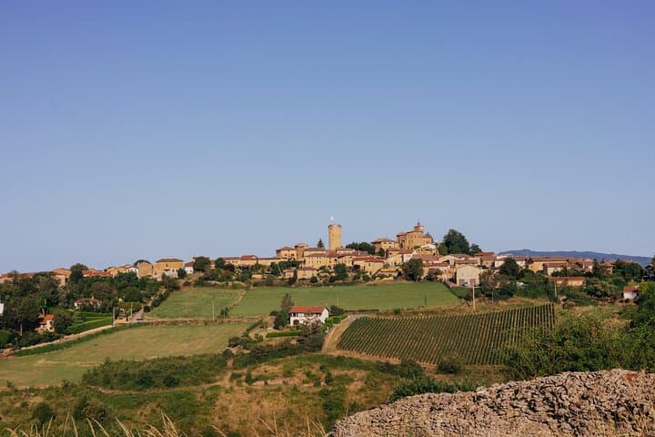 Private half-day tour to Golden Stones Beaujolais with tastings