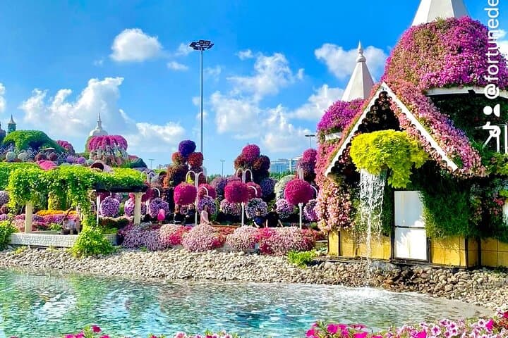 Miracle Garden and Global Village Tour with Round Trip Transport
