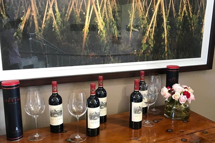 Stellenbosch, Franschhoek, Paarl 15 Wine Tasting Private Tour