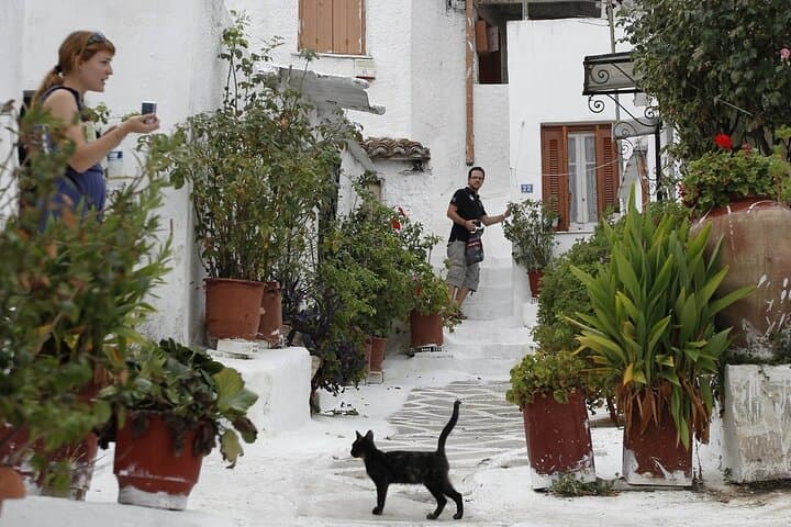 Meet the Cats of Acropolis and Thissio Private Tour