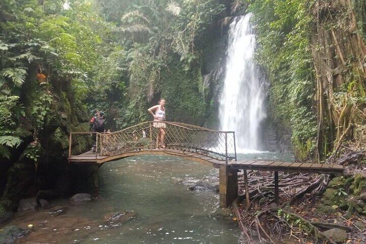 Ulu Petanu Waterfall Monkey Forest And Swing Private Guided Tour
