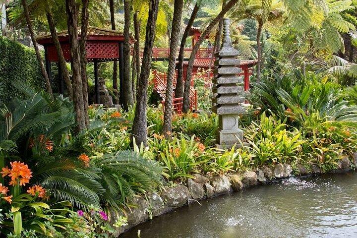 Madeira Tropical Gardens and Old Town Tuk Tuk Tour by MadTuk