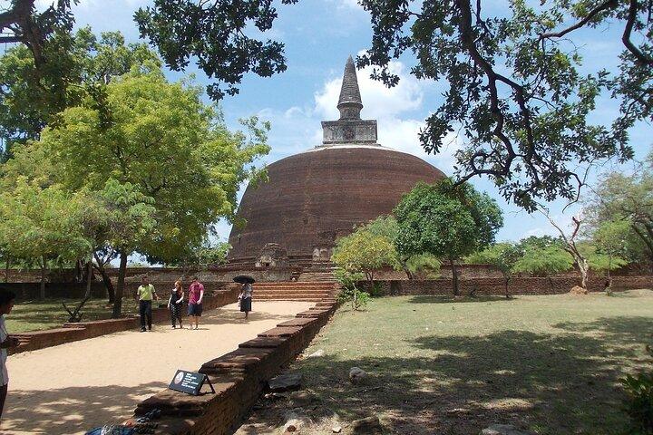 8-Day Sri Lanka Adventure with Hotels and Transportation