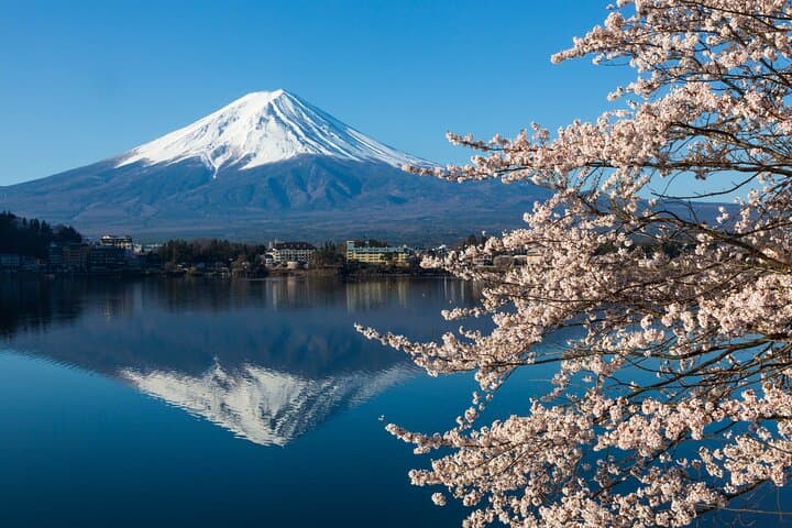 Lake Kawaguchi ⇔ Tokyo Bus Tickets