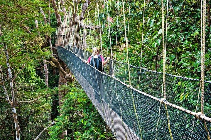 From Kuala Lumpur Taman Negara Day Trip With Lunch