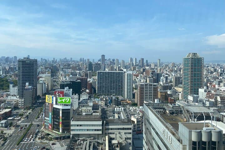 Allure of Osaka Walking Day Tour with a local guide