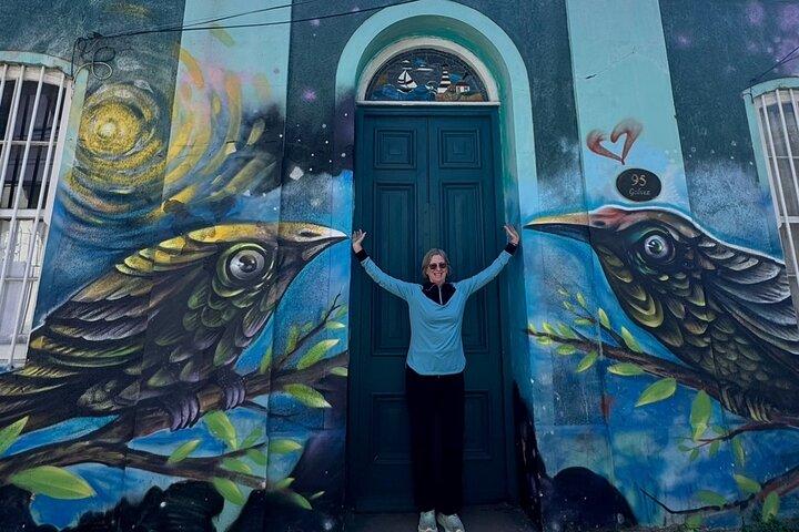 Valparaiso and Viña del Mar Full Day Tour from Santiago
