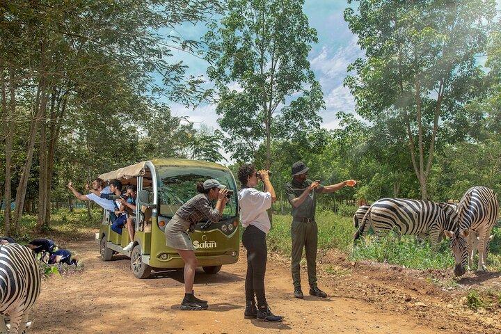 Safari Valley Eco Resort Day Tour with Activities