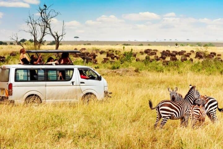 6 Days 5 nights Lake Nakuru, Maasai Mara and Serengeti safari