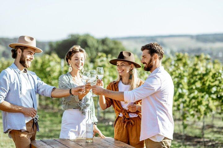 Private Luxury Tour: Ancient Nemea & Top Wine Tasting Experience