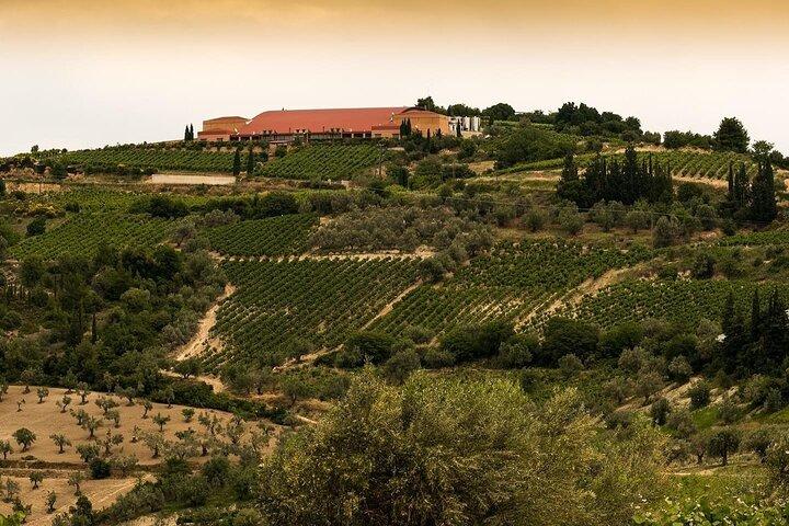 Discover Greek Wine Country: Meal and Wine Tasting at Wine Estate