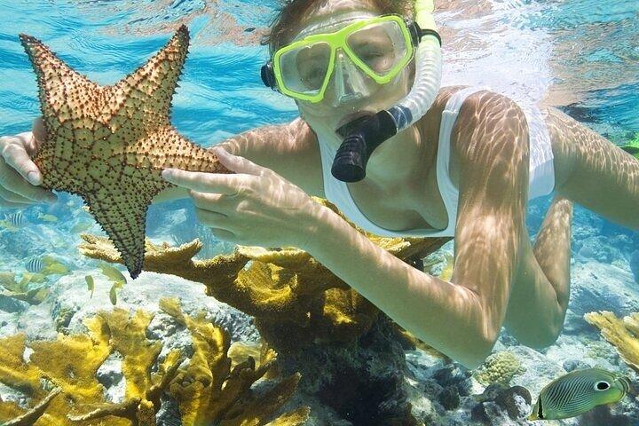 Rose Island Adventure: Snorkel, Sea Turtles, and Private Beach