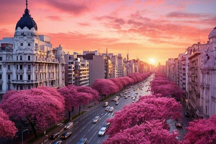 Jorge Newbery Airport (AEP) Private Transfer to Buenos Aires City