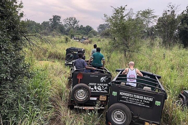 The Best Wild Elephant Safari tour from Colombo