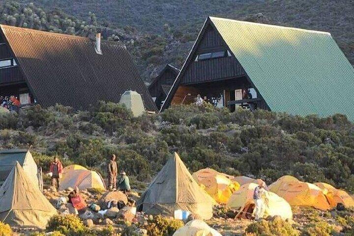 Kilimanjaro Day Hike via Marangu – Forest to Mandara Hut