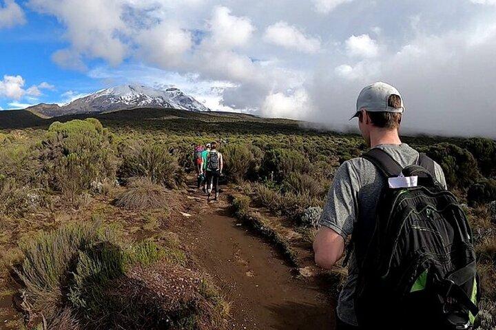 Kilimanjaro Day Hike via Marangu – Forest to Mandara Hut