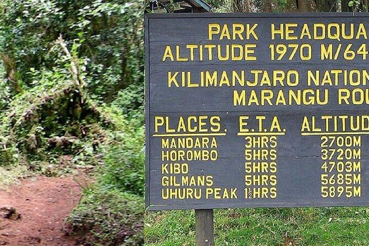 Kilimanjaro Day Hike via Marangu – Forest to Mandara Hut