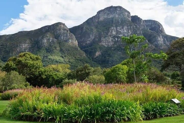 Kirstenbosch Botanical Gardens and Wine Tasting in Constantia