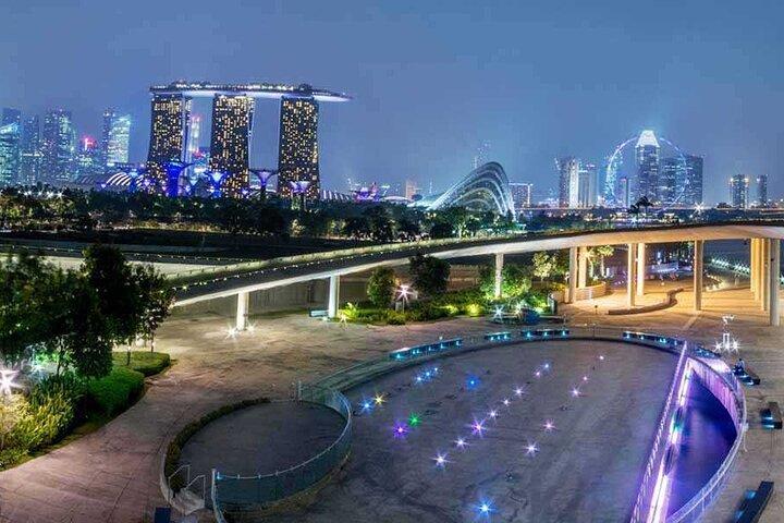 Private Singapore Night Tour with Gardens by the Bay&River Cruise