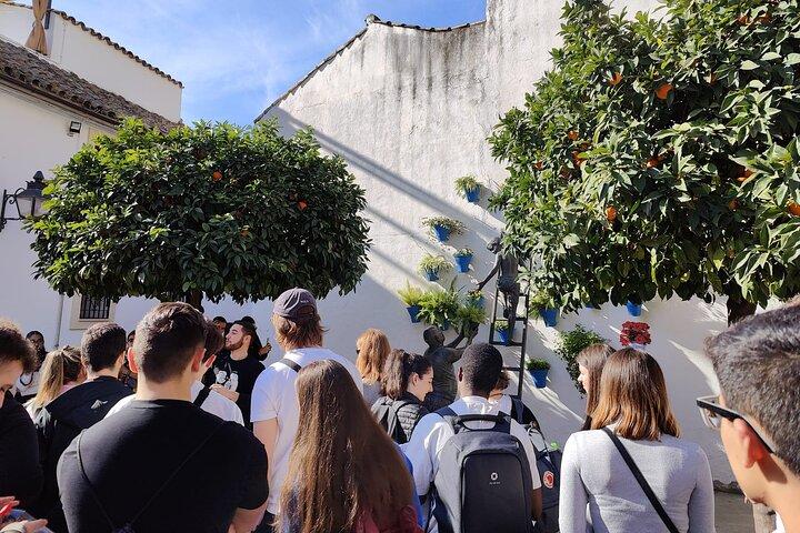 From Seville: Cordoba and Mosque-Cathedral Skip the Line