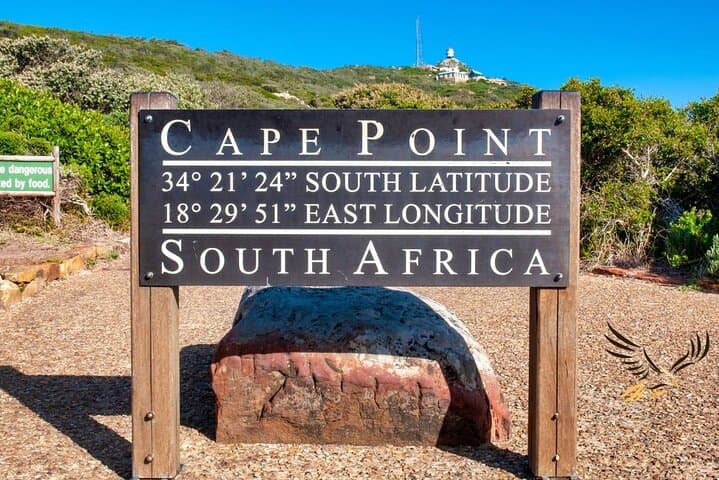 From CapeTown:TableMountain,Penguins &Wine Testing in Constantia