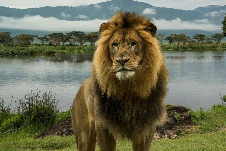 2 Day Tour to Lake Nakuru, Naivasha and Hell's Gate from Nairobi
