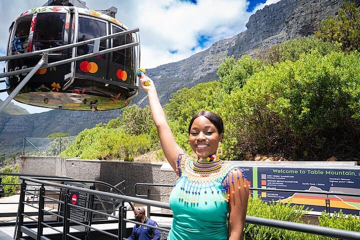 Table Mountain, Penguins & Cape of Good Hope Small Group Top Tour from Cape Town