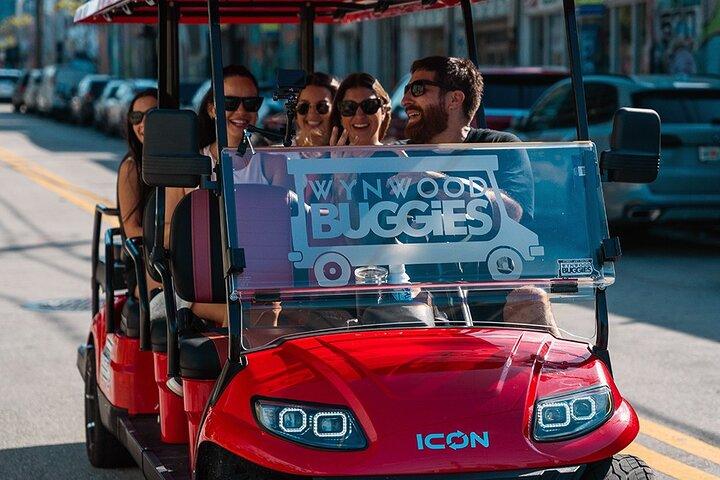 Direct Entry: Wynwood Walls & Neighborhood Buggy Tour